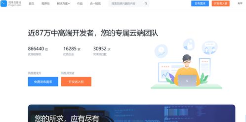程序員如何利用軟件外包服務(wù)開(kāi)展副業(yè)